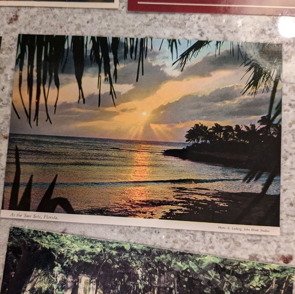 Lot Of Seven Blank Florida Keys, Sunset & Ocean Vintage 4x6 Postcards Unused - Picture 6 of 16